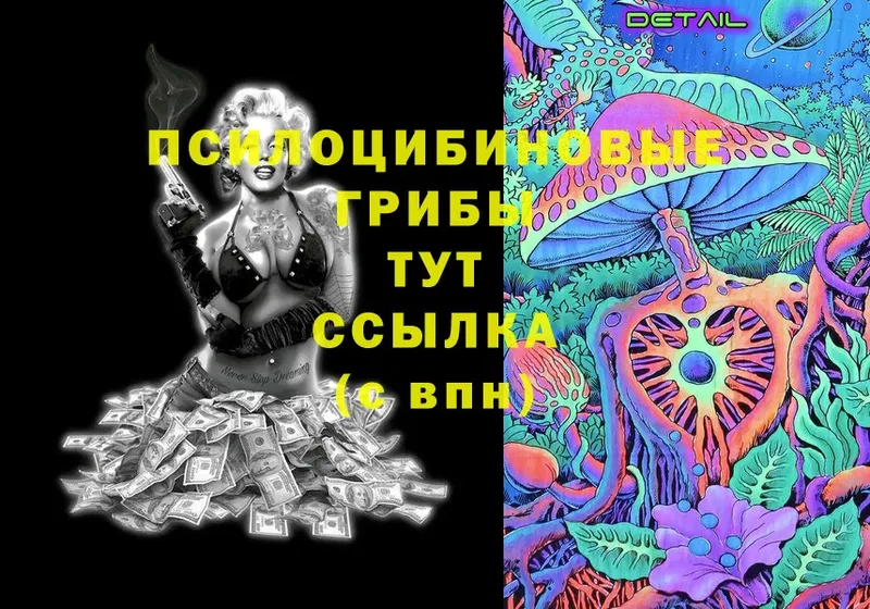 Галлюциногенные грибы Magic Shrooms  цены наркотик  Арсеньев 